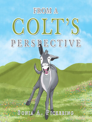 cover image of From a Colt's Perspective